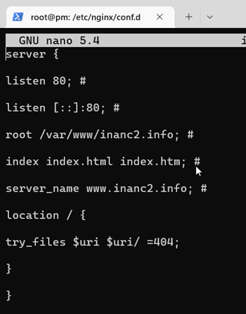 nginx virtual host