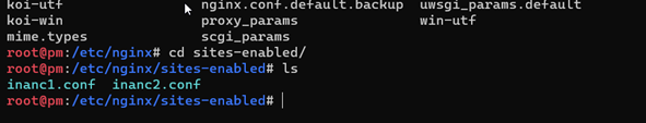 nginx virtual host