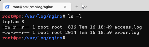 Nginx Log Kontrol Süreçleri (Nginx Logging) - İnanç Delibalta